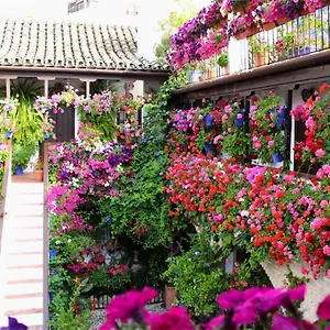Puerta A La Mezquita Apartment Córdoba